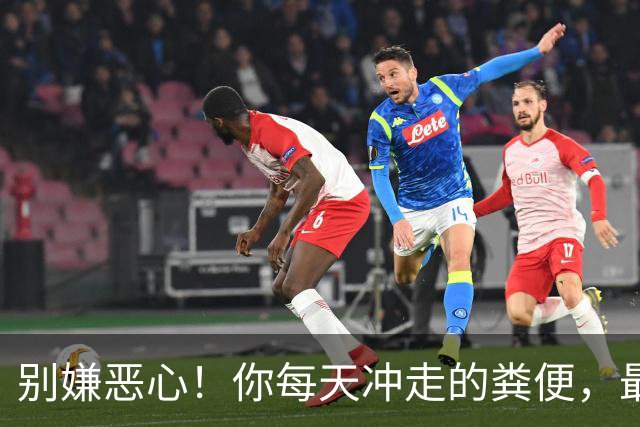 别嫌恶心！你每天冲走的粪便，最后竟全藏进城市这些秘密角落里！